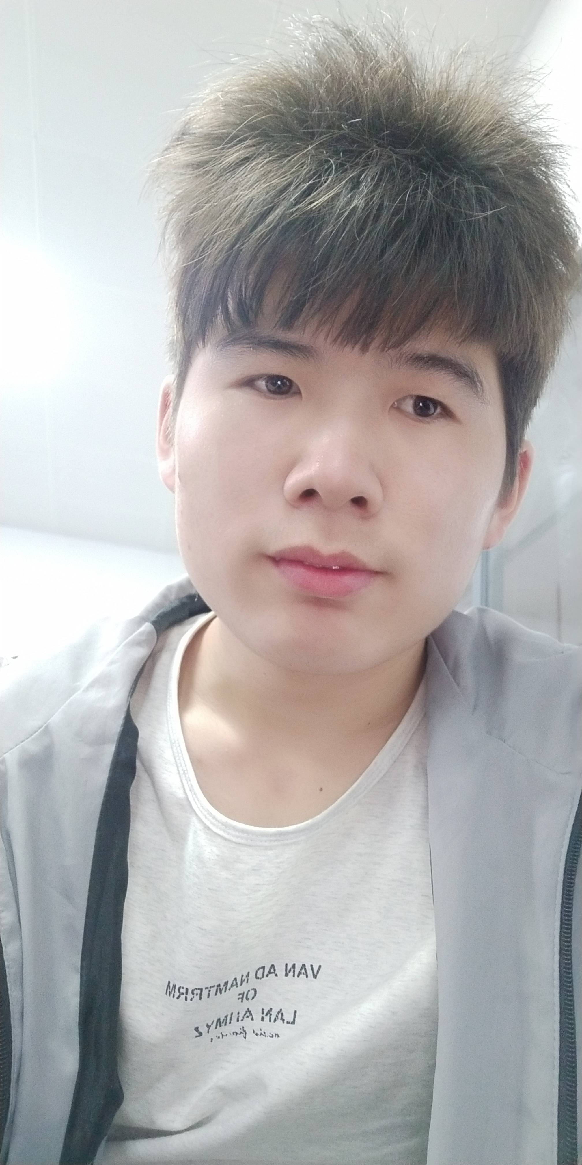 杨树行，的照片