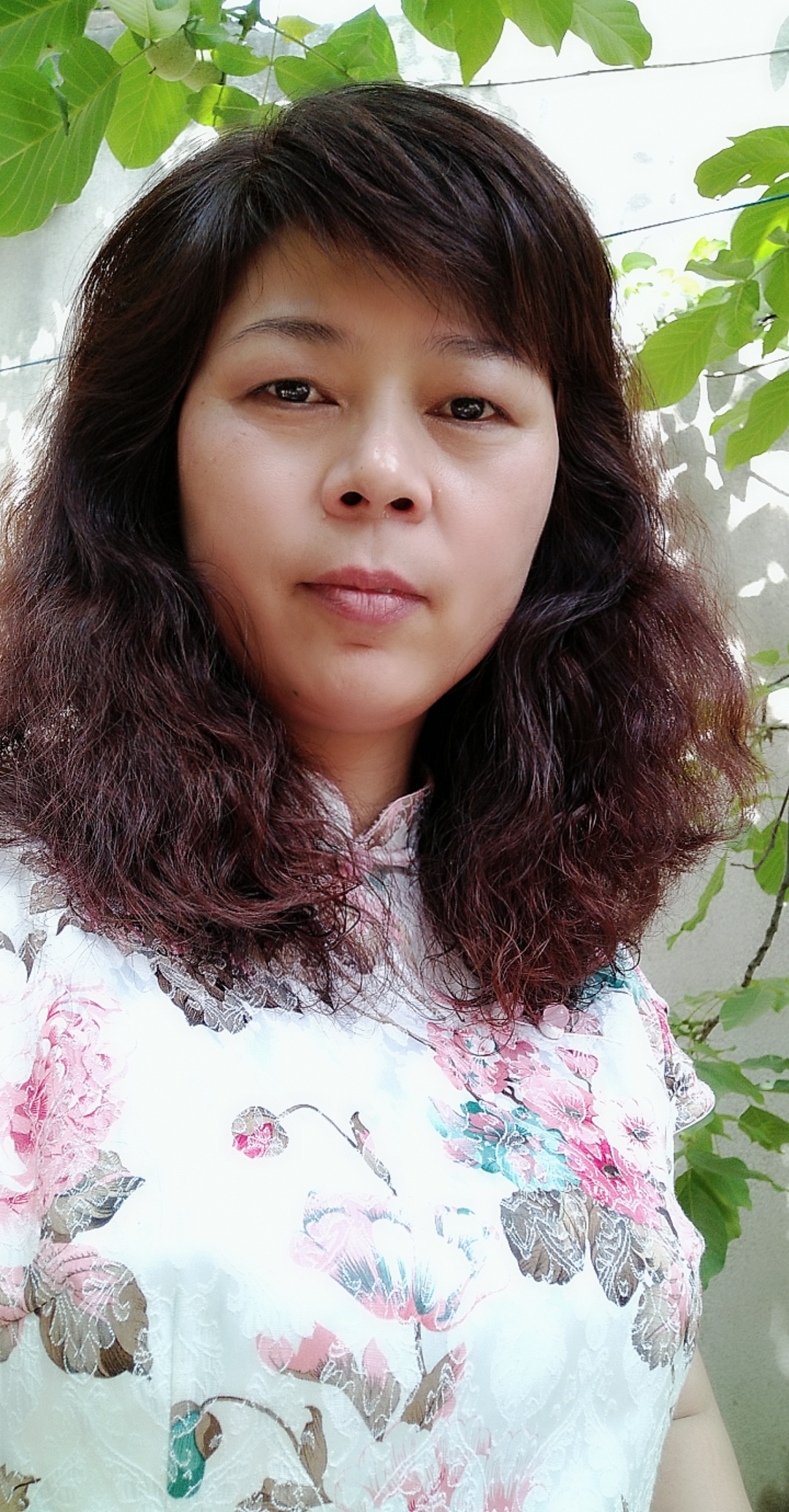 山高水长一朵莲的照片