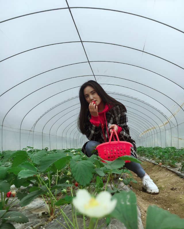 会员646011223的照片