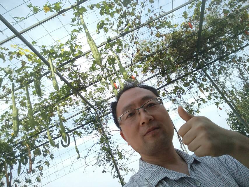 会员355167505的照片