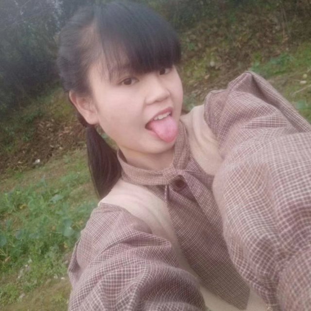 铅笔唯一的的照片