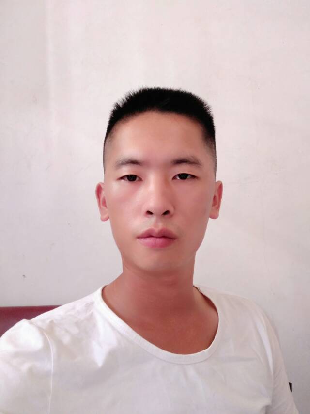 阿尔卑斯1的照片