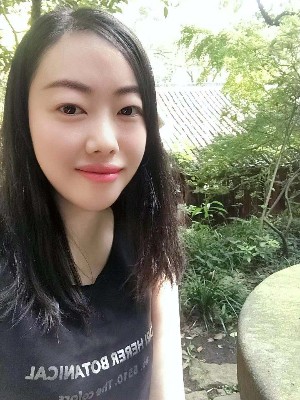 珍珠的兔子的照片