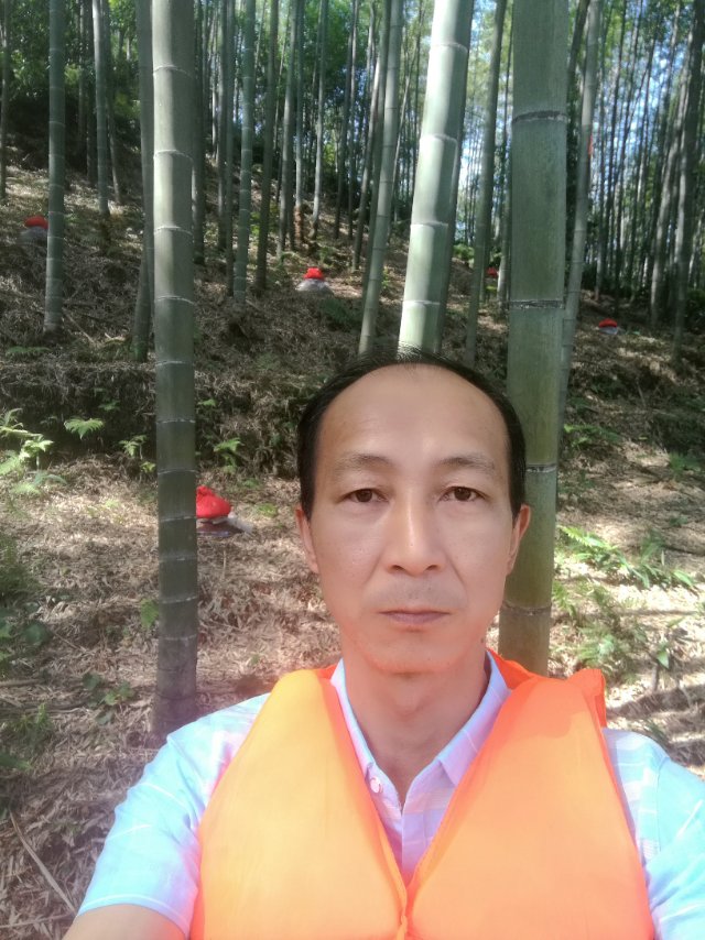 会员561250439的照片