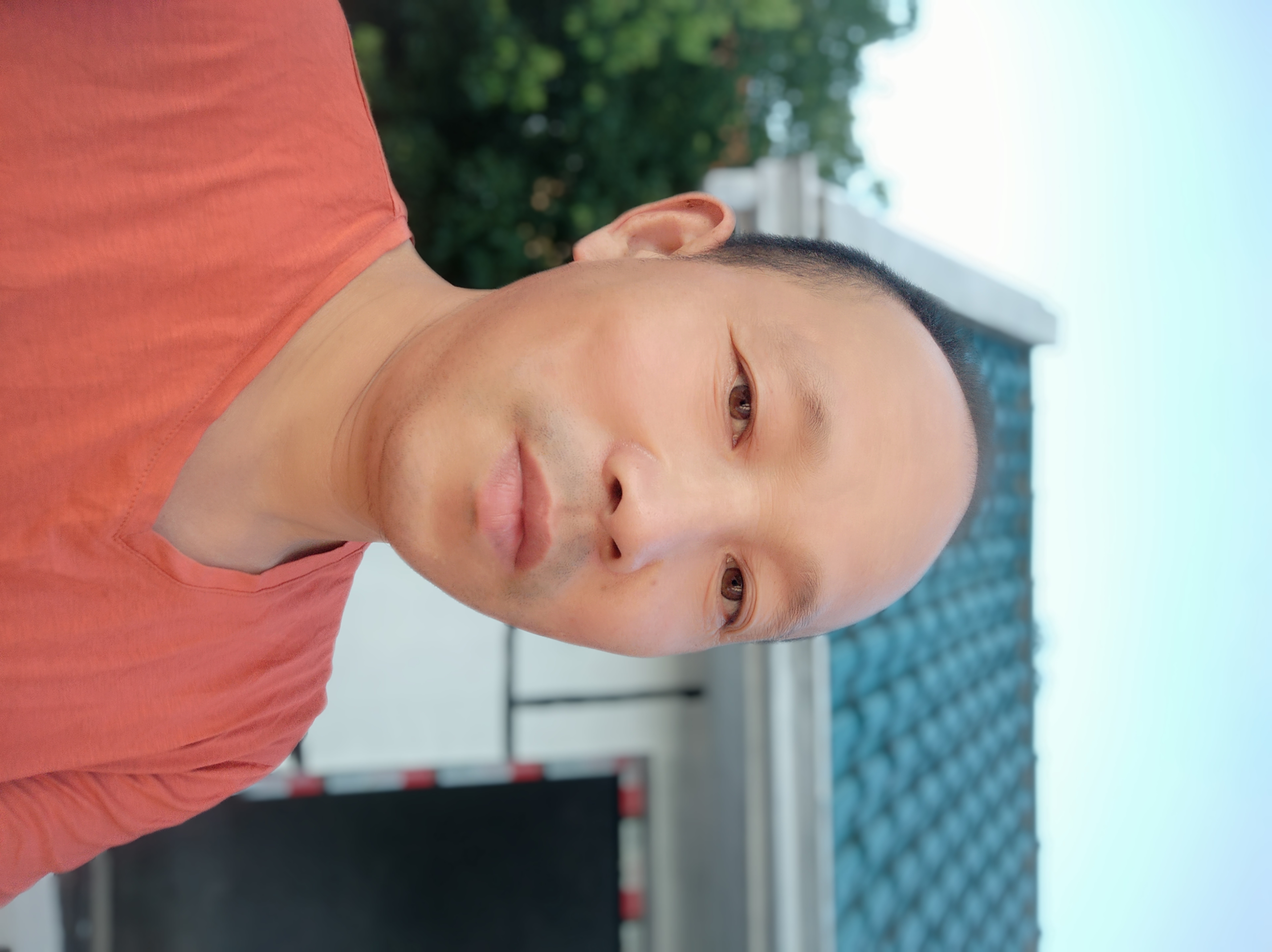 平淡的水的照片