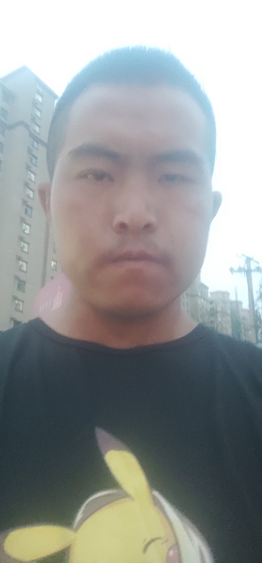 绵密与星雨的照片
