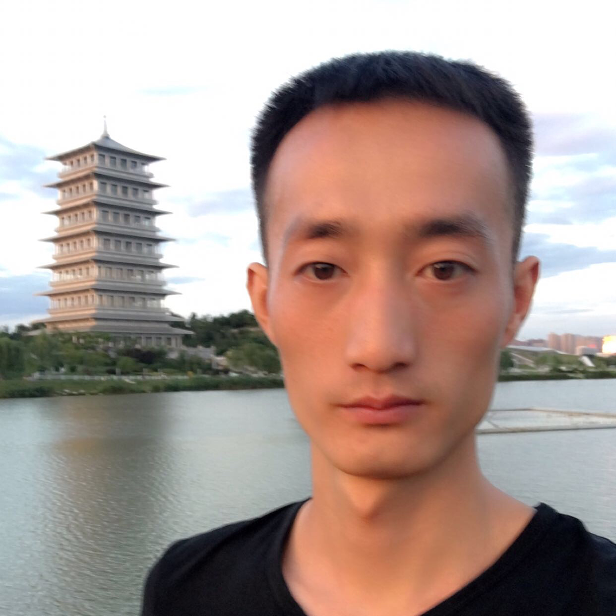 海豚公爵的照片