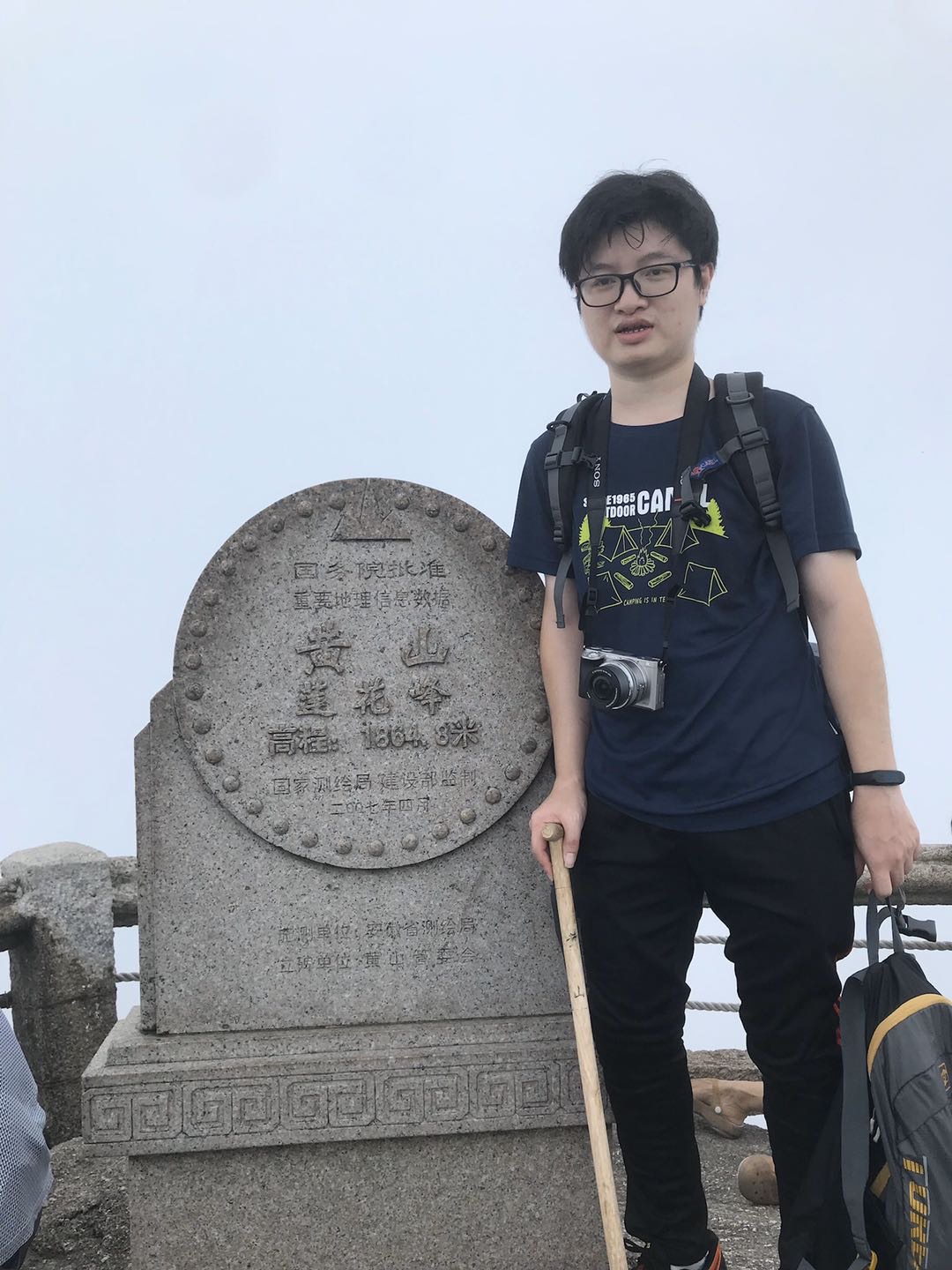 堇枫之叶的照片