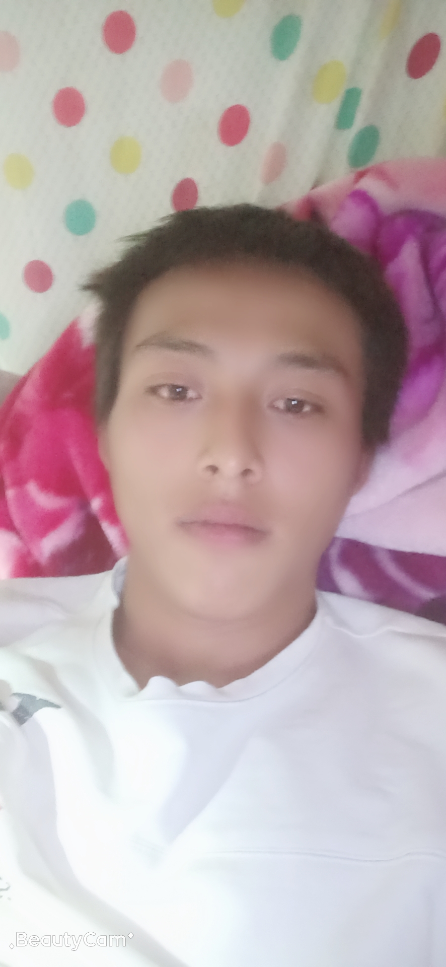 一人一丛的照片