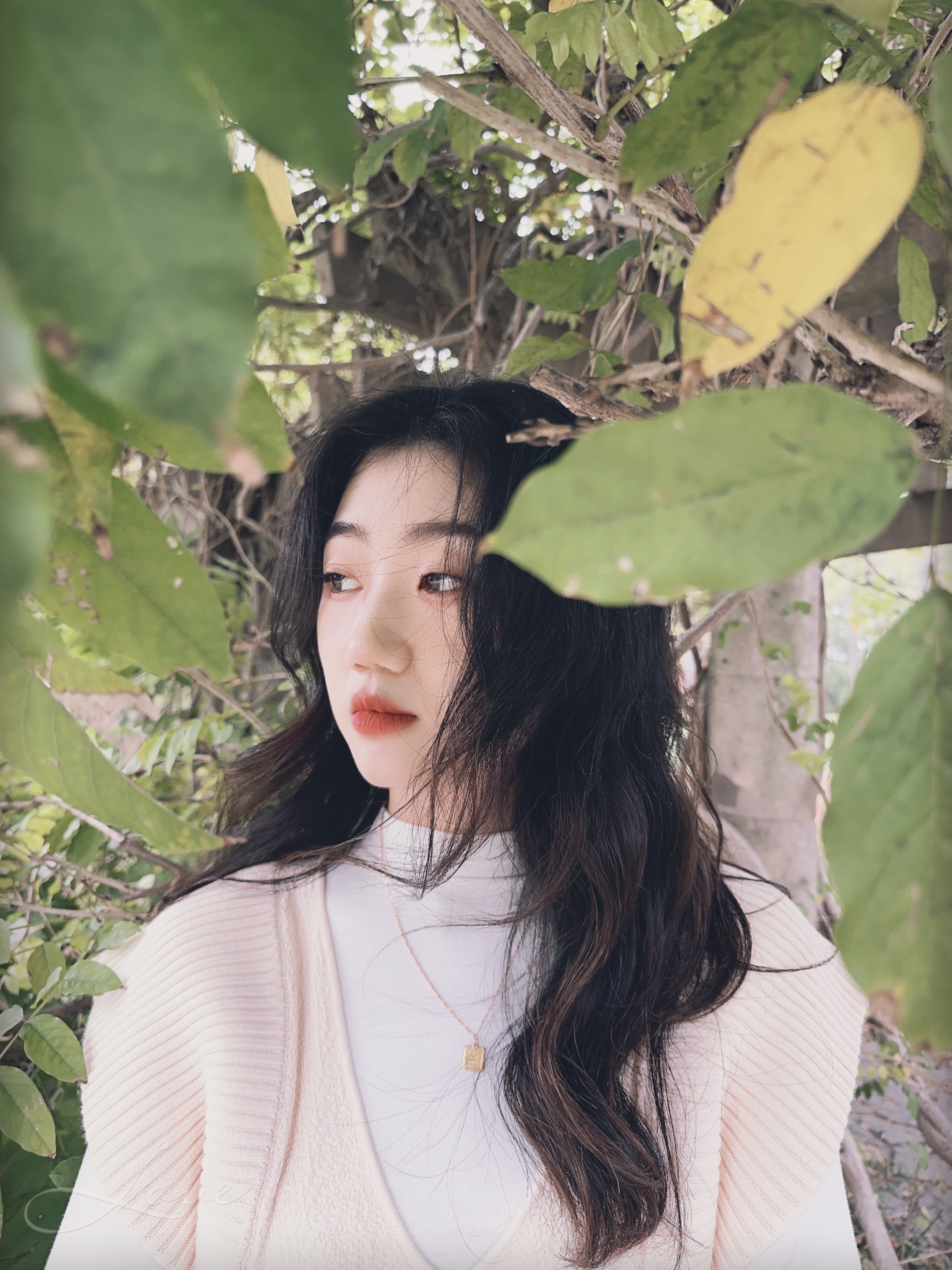 会员899179774的照片