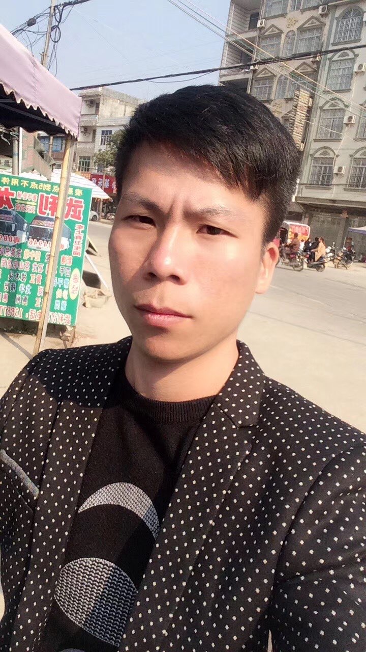 暖宝小狼狗的照片
