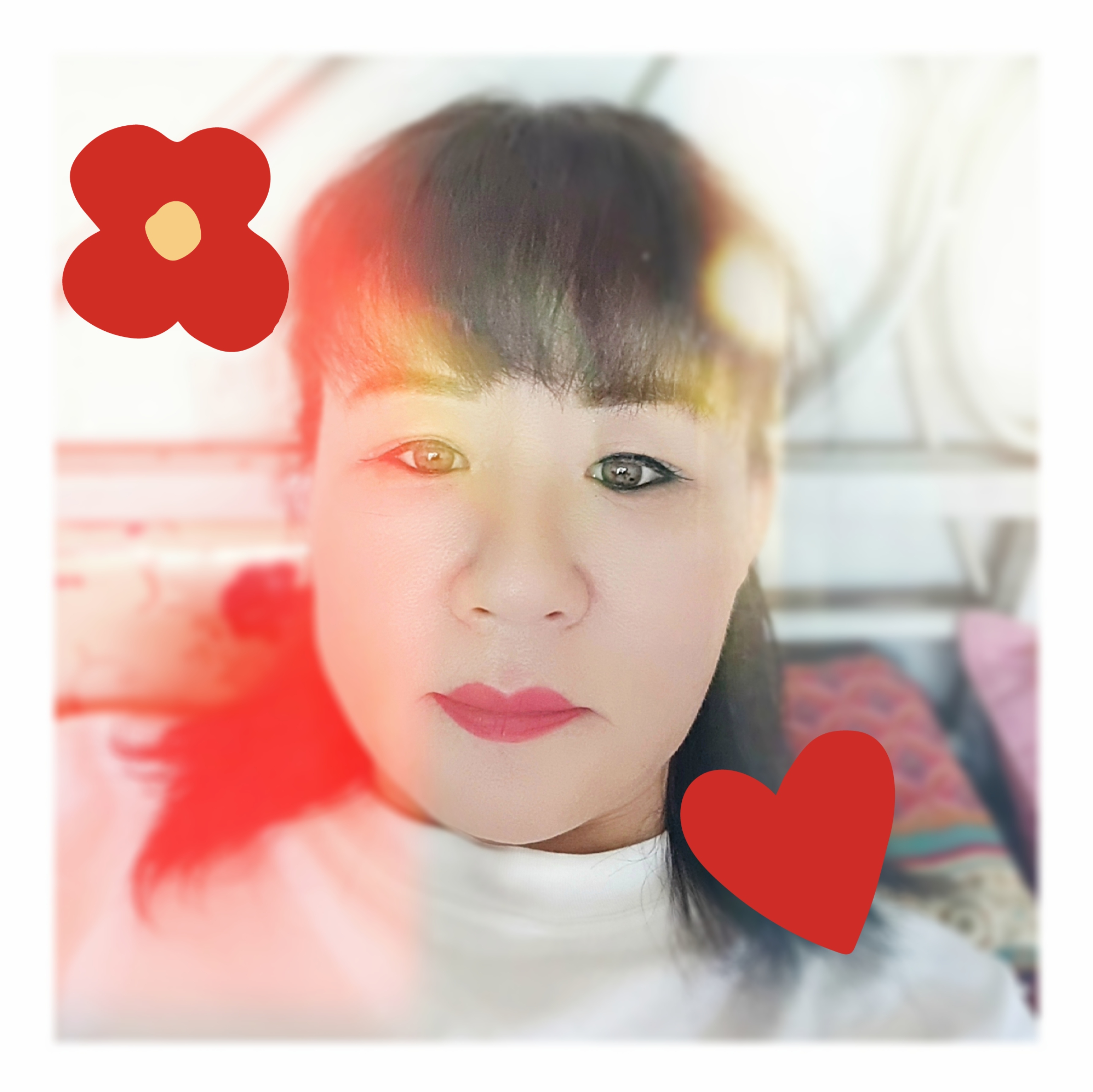 会飞的鱼的照片