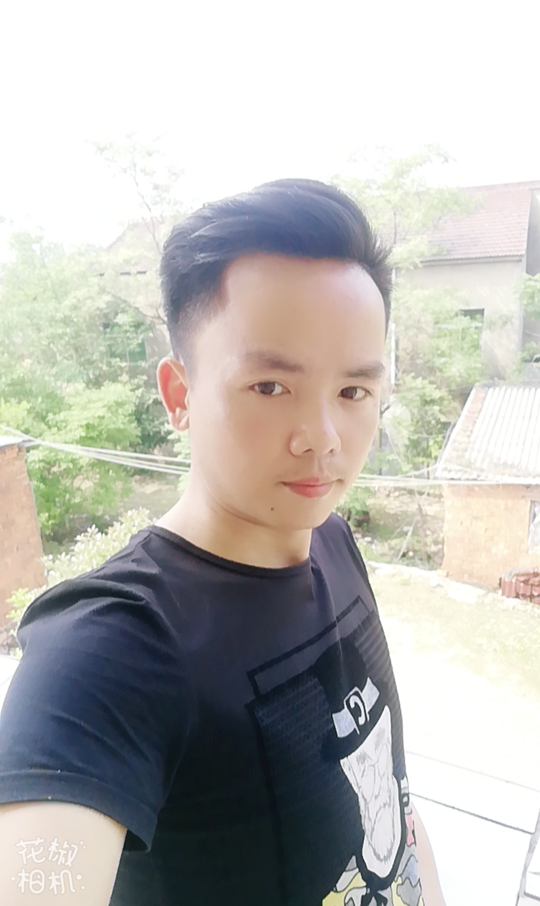龙的年华的照片