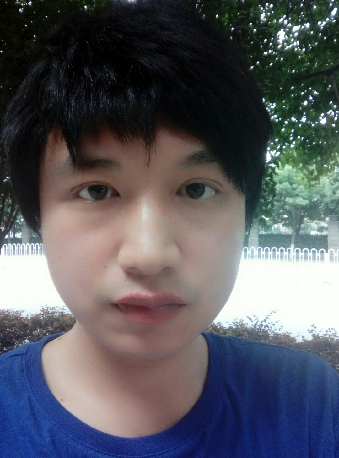 旺财喵的照片