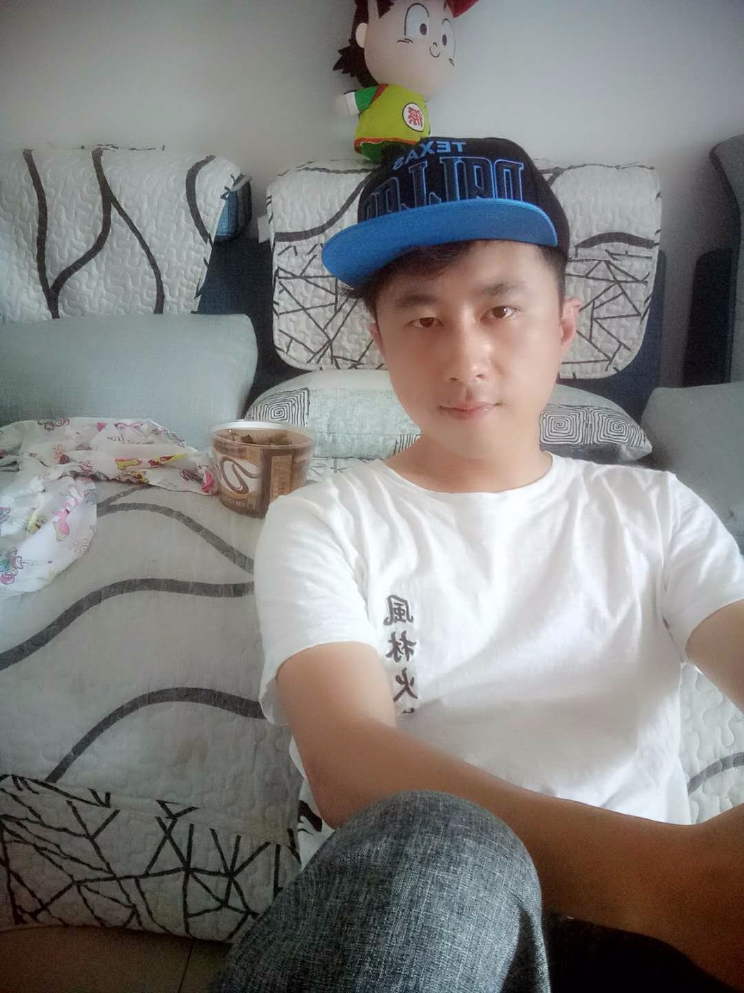 斑鸠的照片