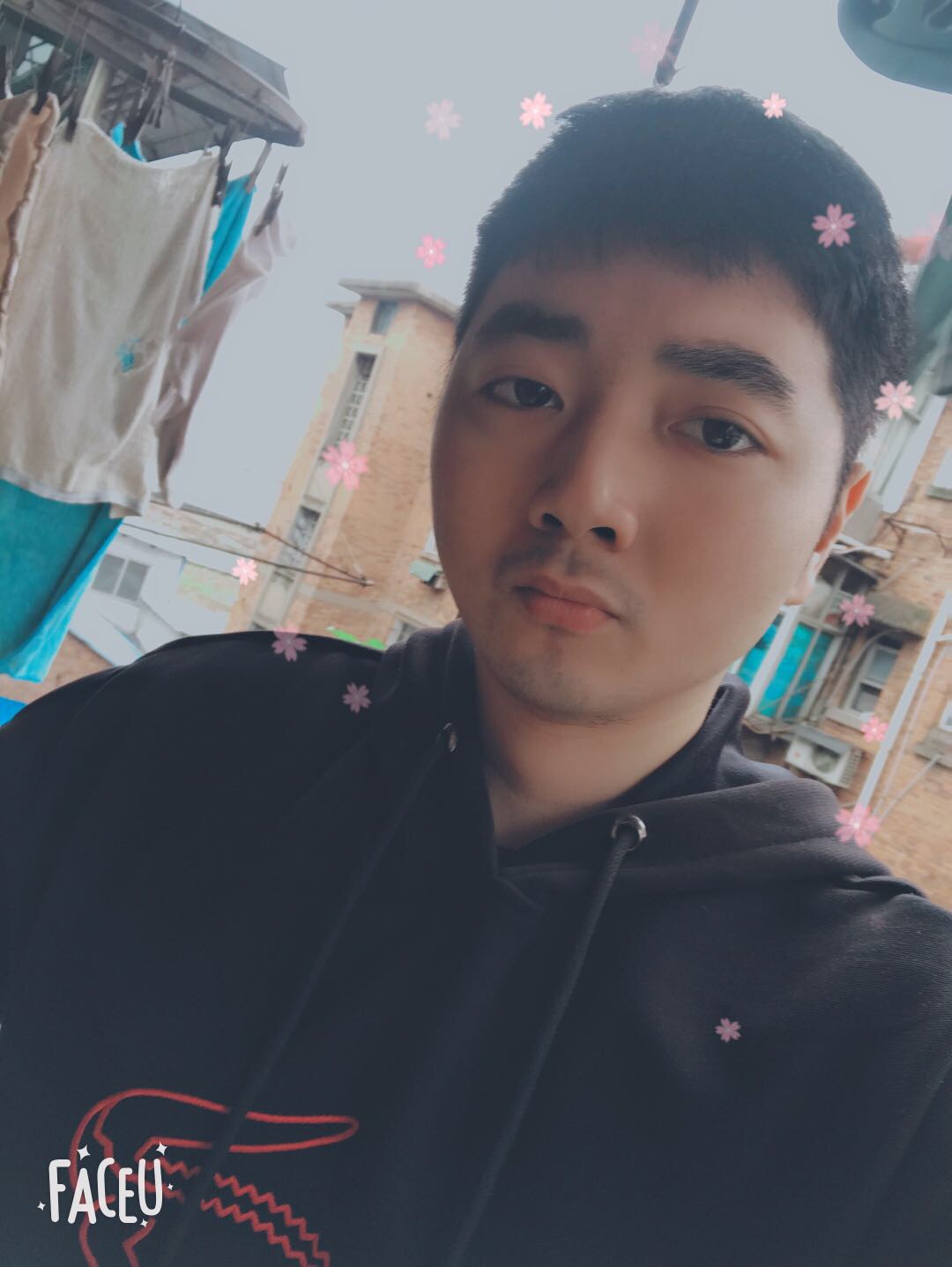 鸢尾青栀的照片