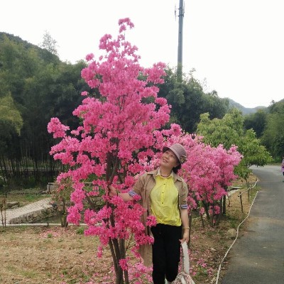 会员561982074的照片