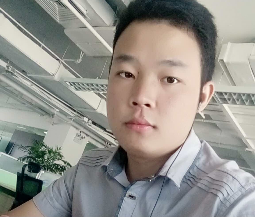 诗落叶的照片