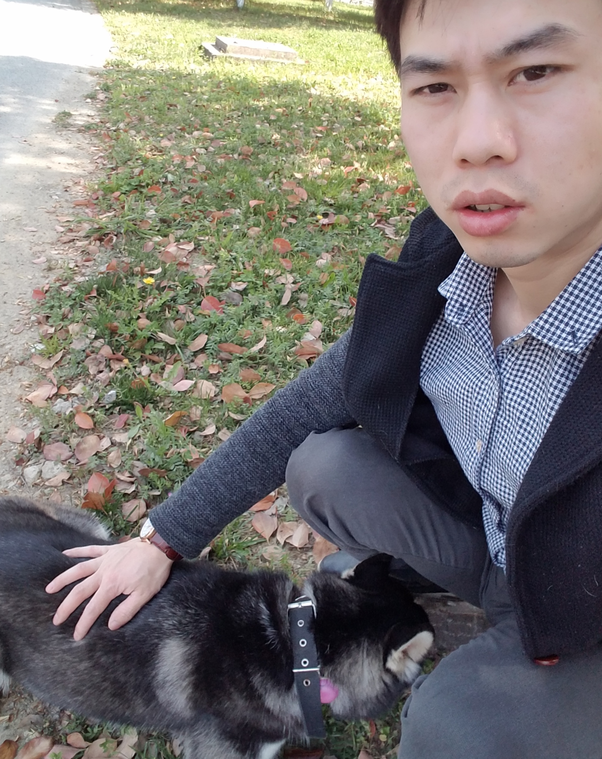 星辰泪1的照片