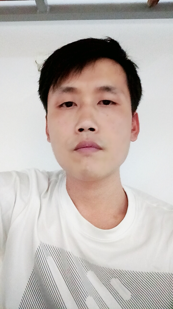 寻找心中皮卡丘的照片