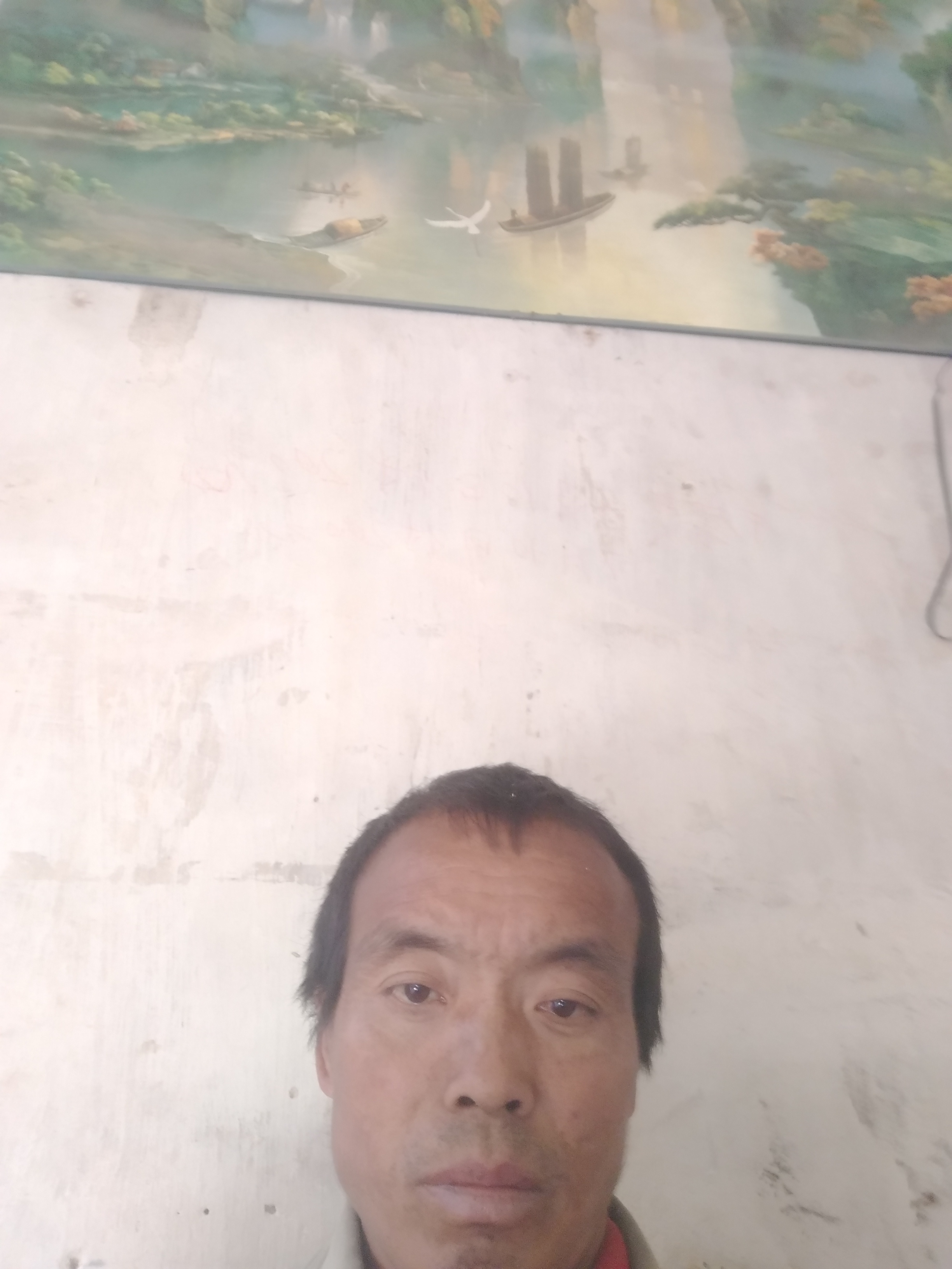 四家以家的照片