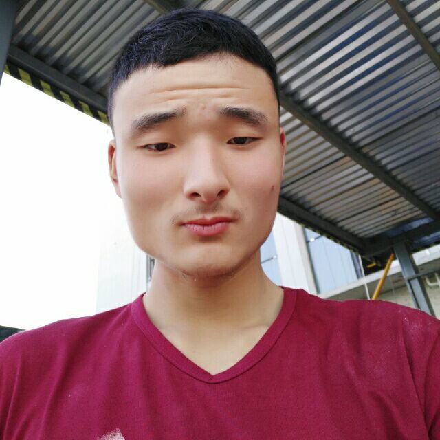 咏春拳的照片