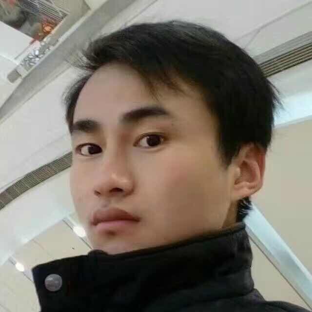 吃素的食人鱼的照片