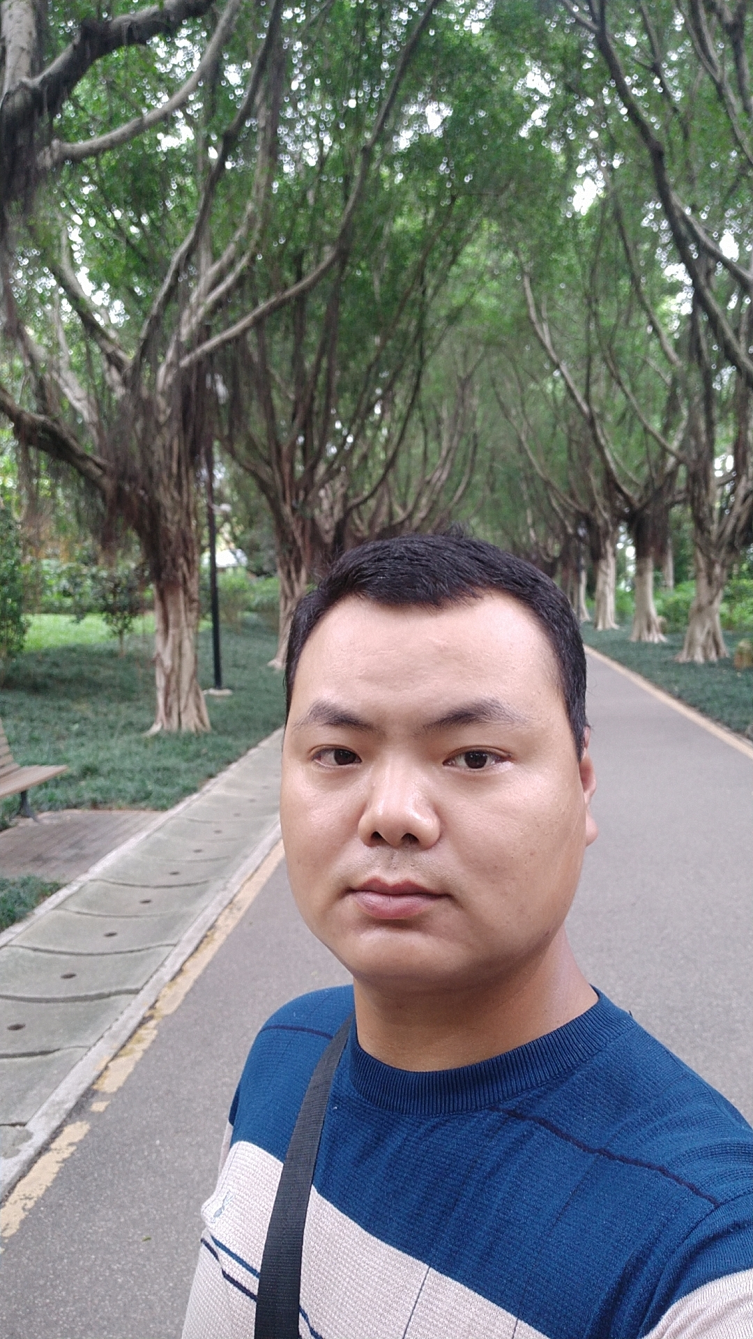 七星茶叶的照片
