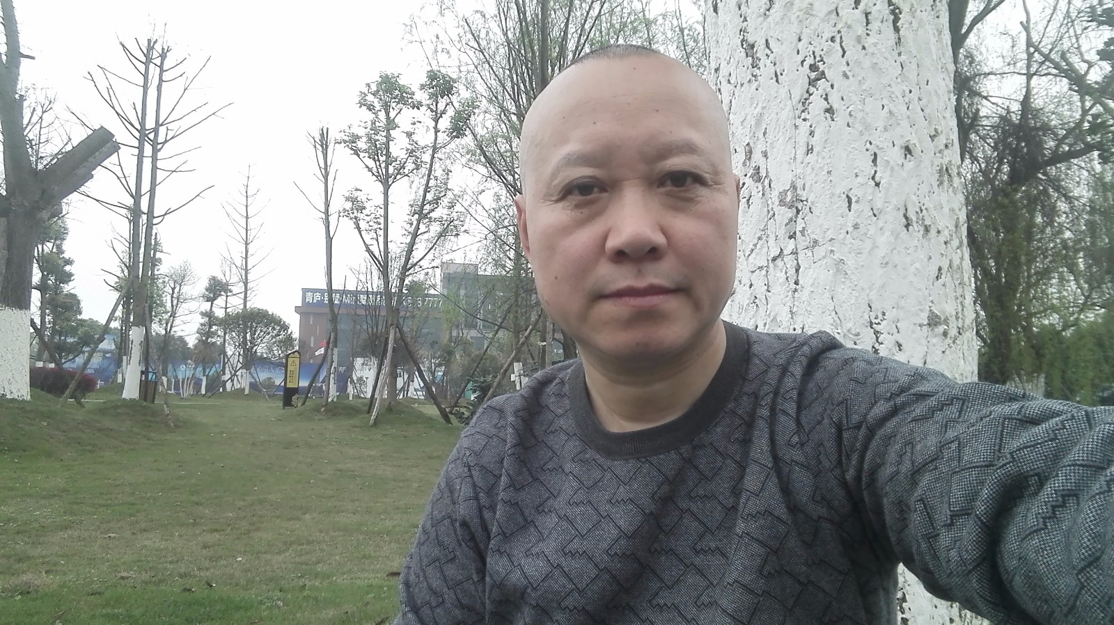 阳光  微笑的照片