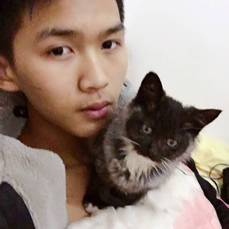 端庄呓语的照片