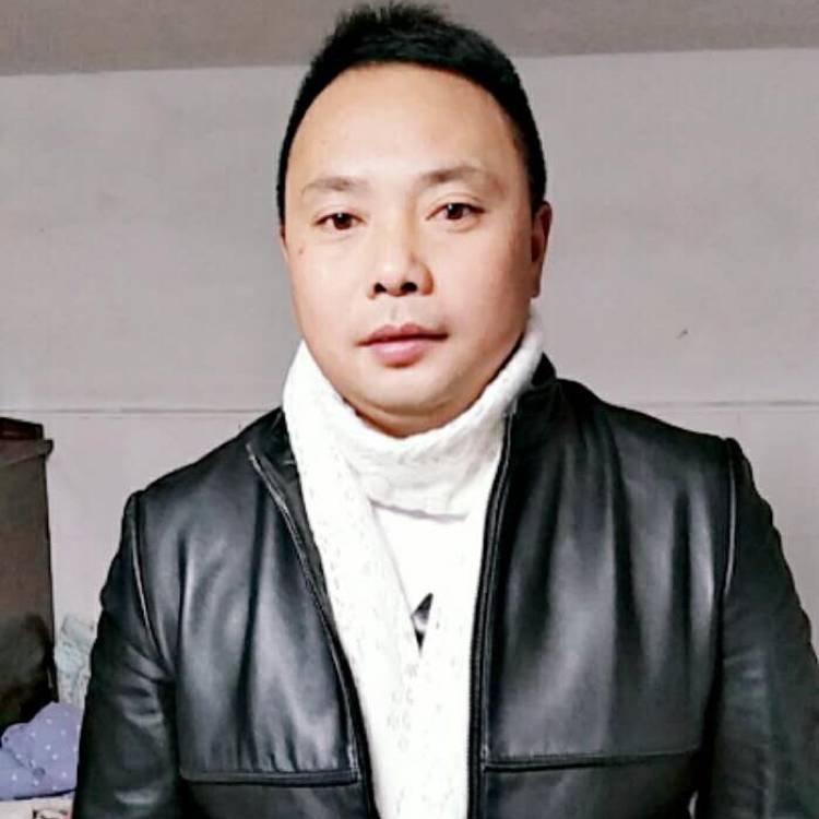 搞怪灰狼的照片