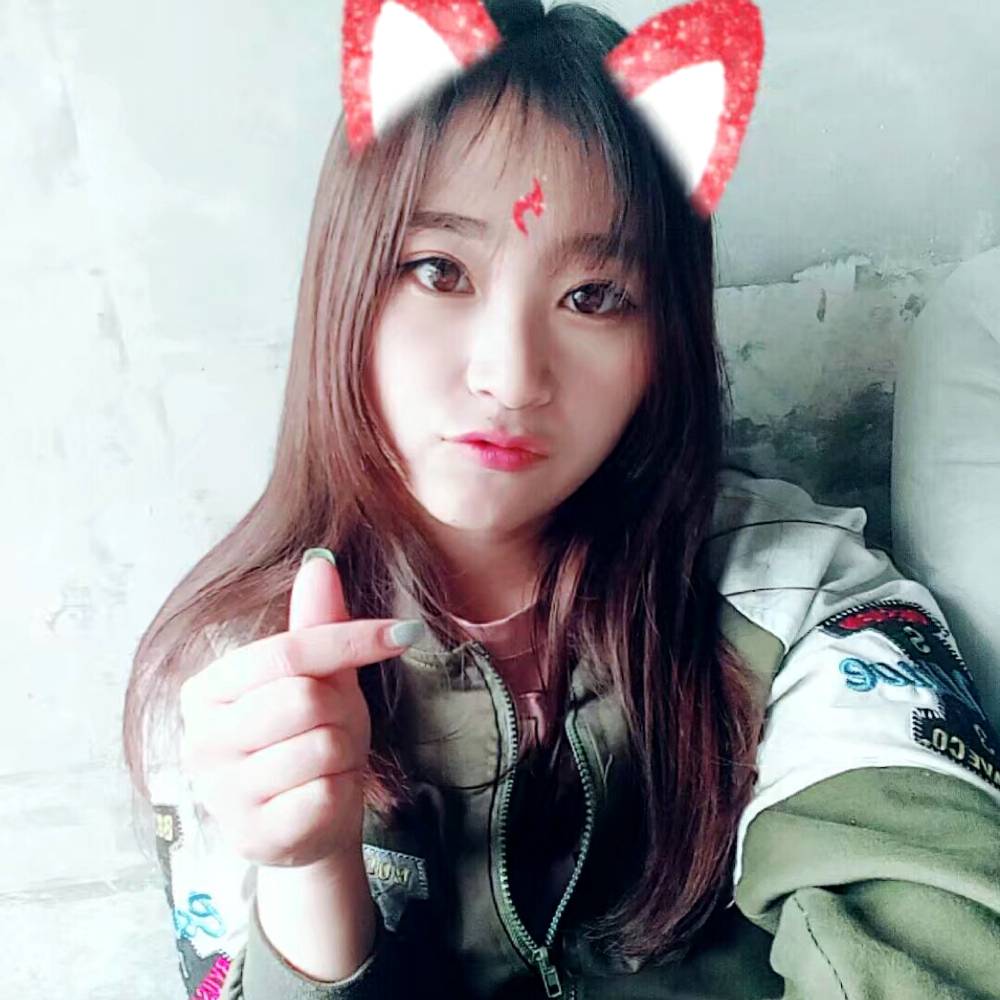 斑马斑马14的照片