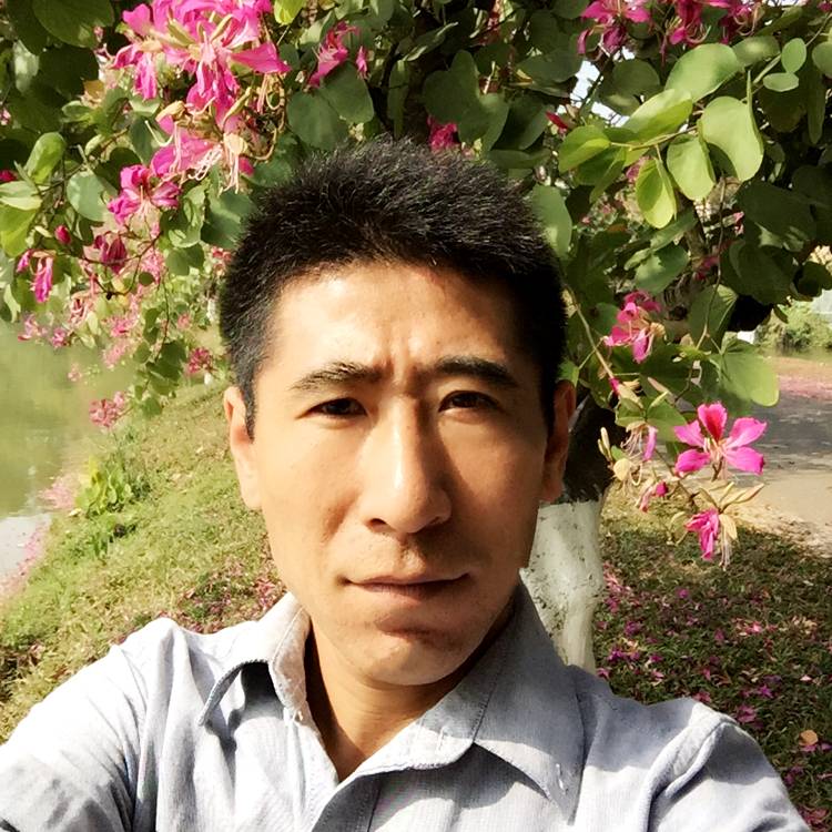 英勇糖豆的照片