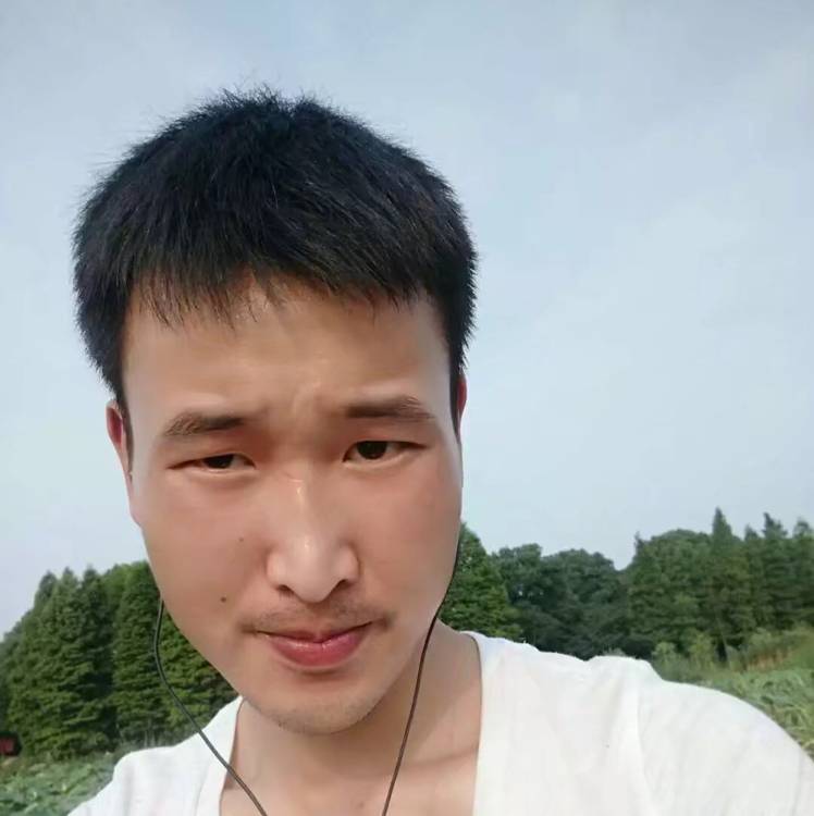 Celavi的照片