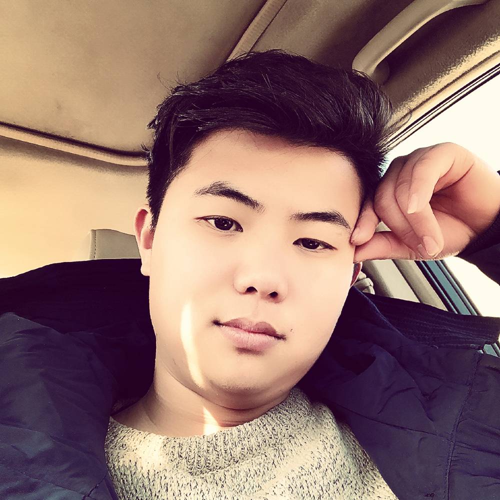忧心小海豚的照片