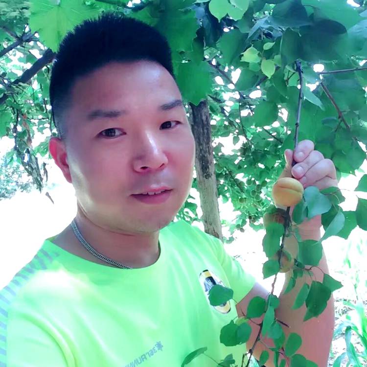 中原郎的照片