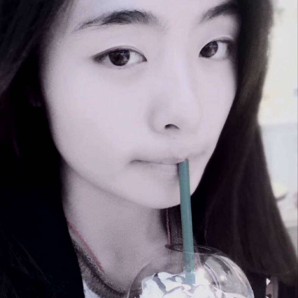 传统康乃馨的照片