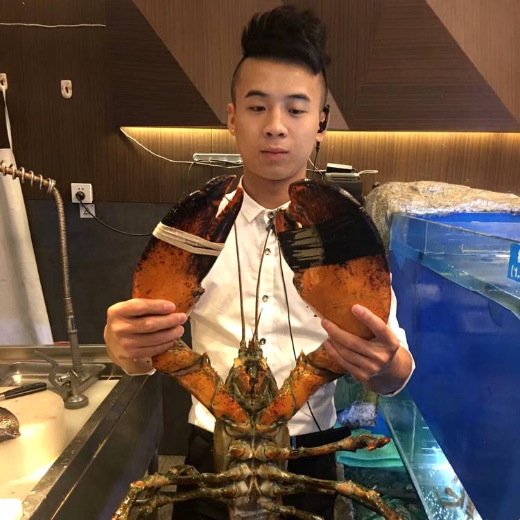 怕孤独世界的照片