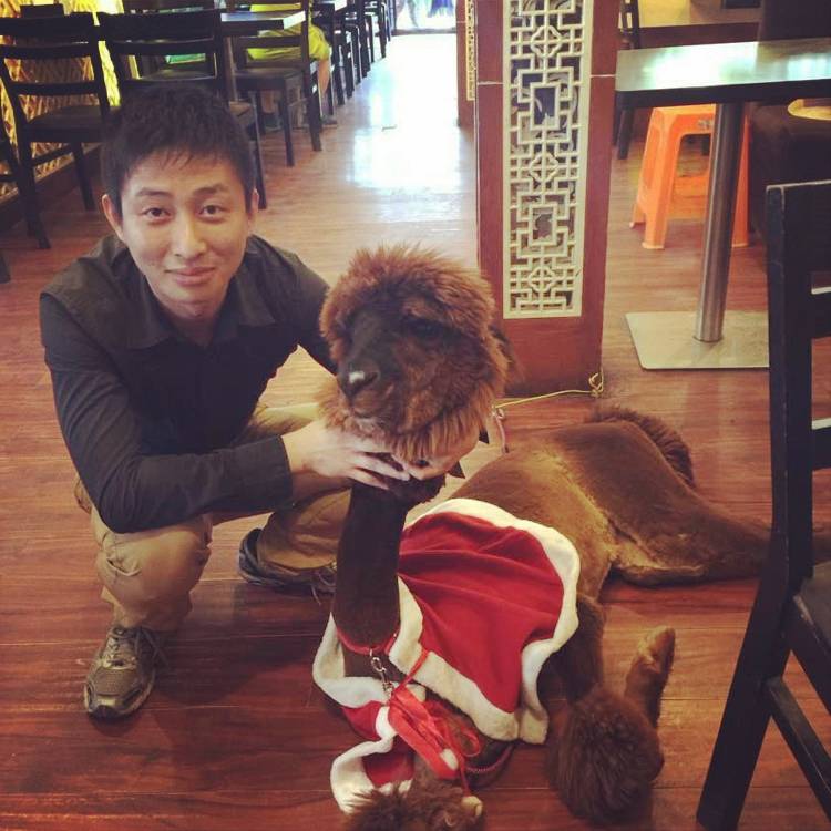 难过鸭子的照片