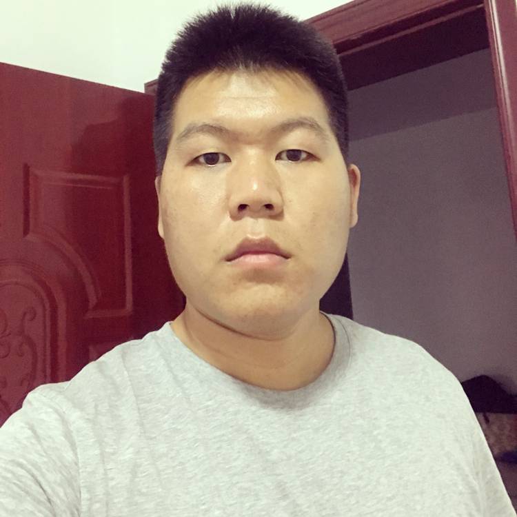 奔跑的蜗牛的照片