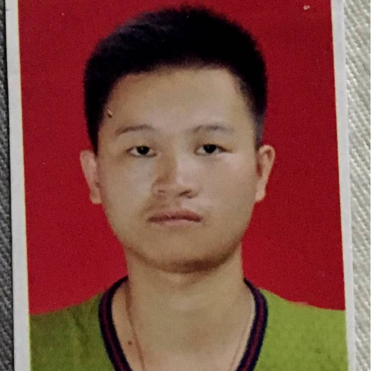 坚强哈密瓜的照片