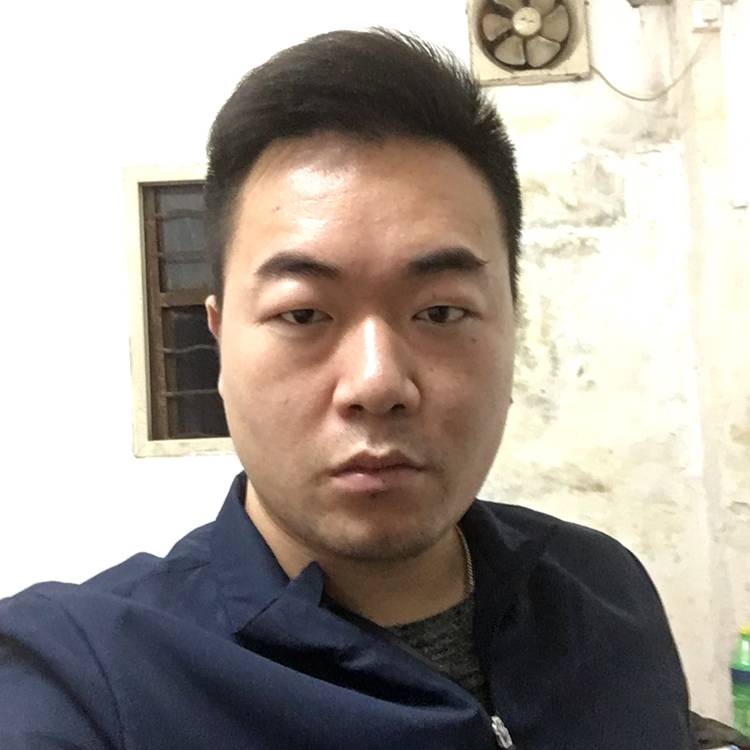 活泼好动的照片