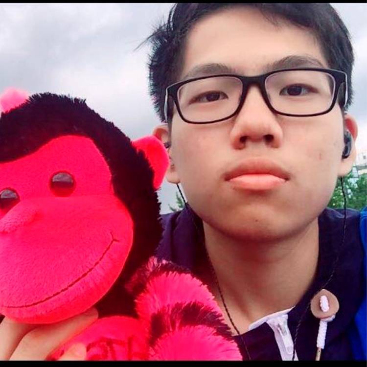 Vincent3的照片