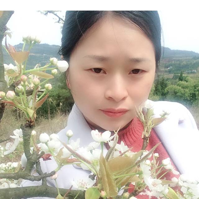 自信星雨的照片
