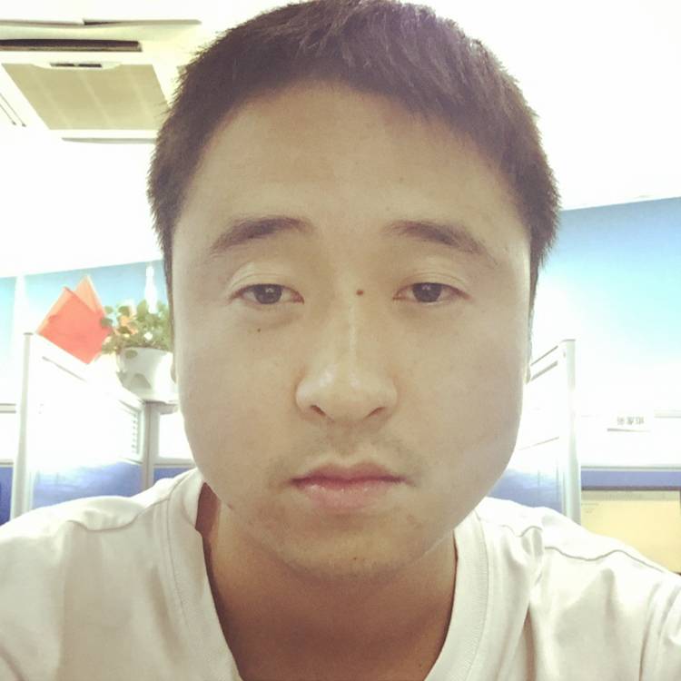 呆呆来了的照片
