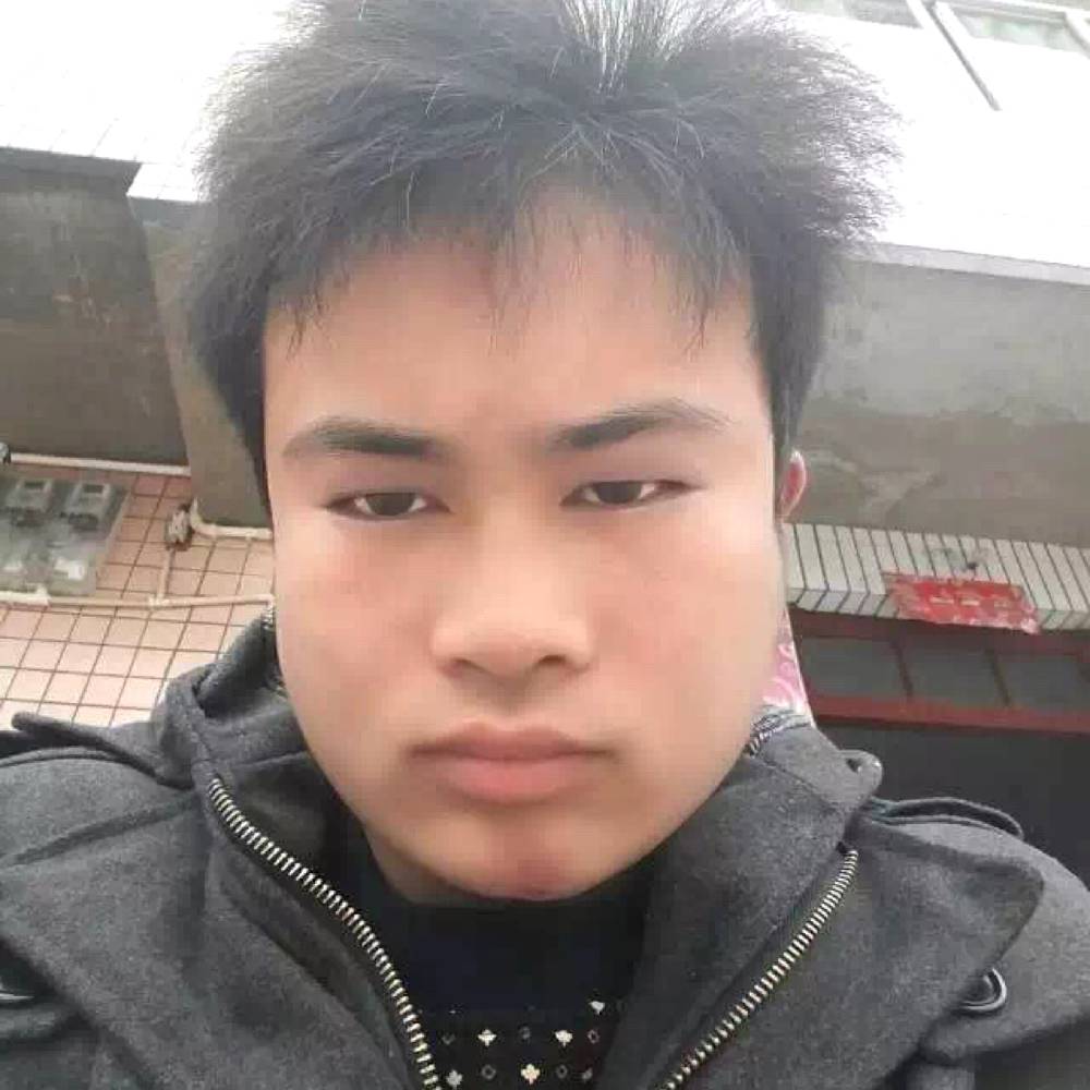 阳光白昼的照片