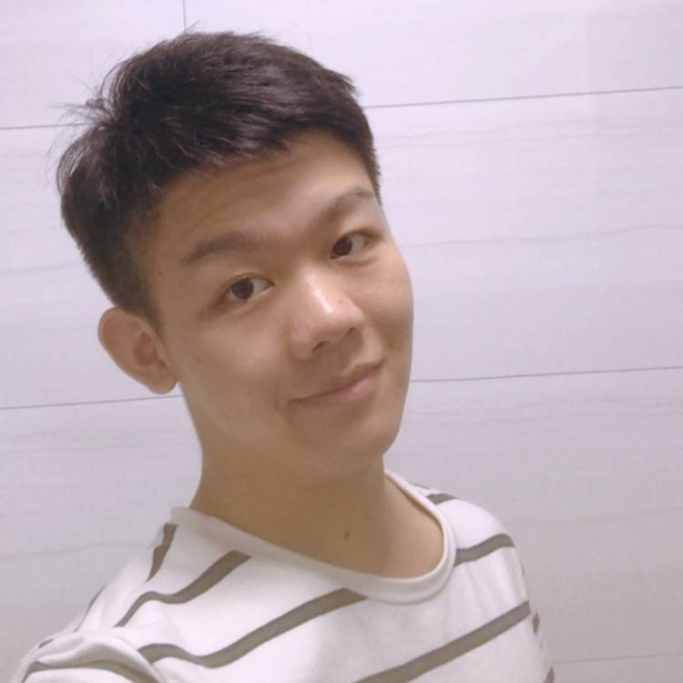 谦让蚂蚁的照片