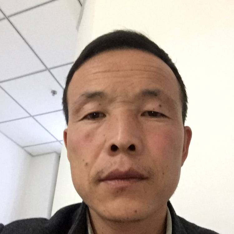 从容机器猫的照片