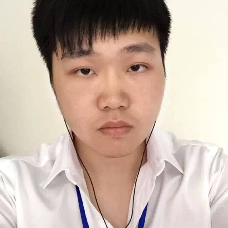 布林冬的照片