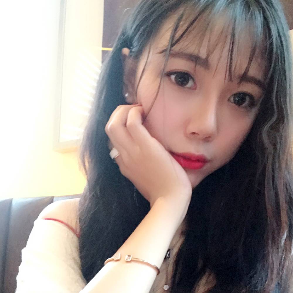 端庄小猫咪的照片